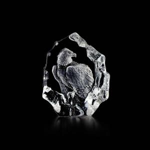 Wildlife Vithövdad Örn