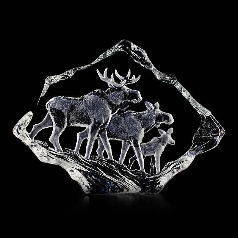 Wildlife Älgfamilj
