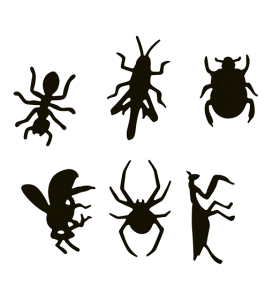 Magneter Insekter 6-pack