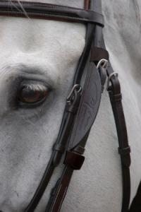dyon focus blinders skygglapp