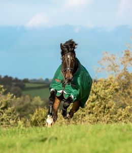 hästtäcke rambo 100g