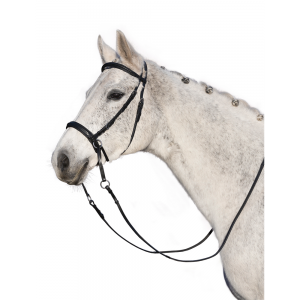 bettlöst träns gen x