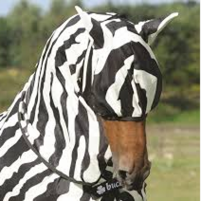 bucas buzz off fly mask zebra flughuva