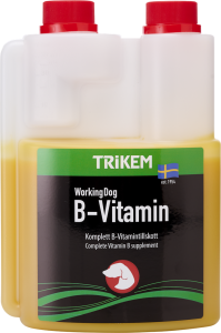 b vitamin till hund