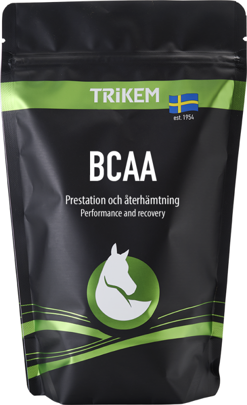BCAA 500g