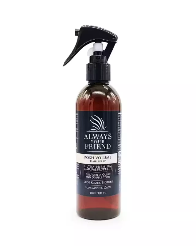 Posh Volume Rich Hair Spray 250ml