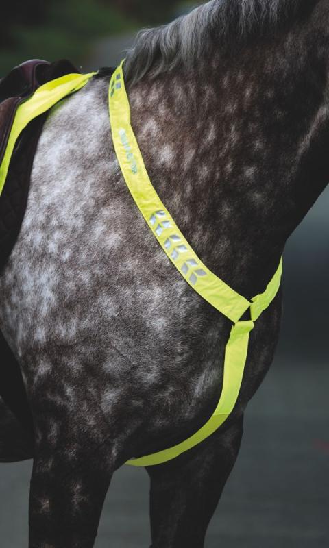 EQUI-FLECTOR Brösta Reflex