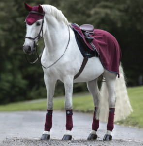 horseware ländtäcke