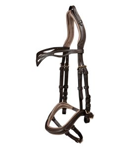 Islandsträns anatomiskt Brun