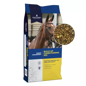 Build Up Conditioning mix