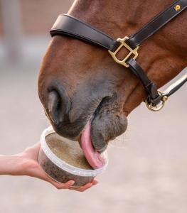 StableSnack Licking Bowl 650g
