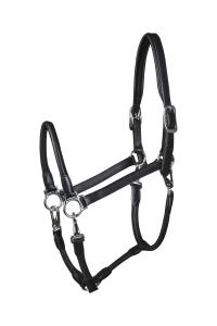 Tack up Lädergrimma