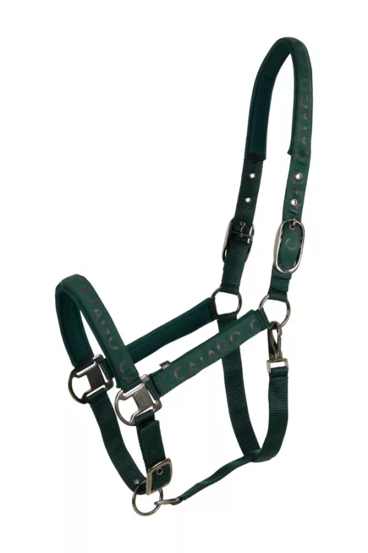 Alea Reflekterande grimma