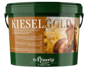 Kieselgold 10kg