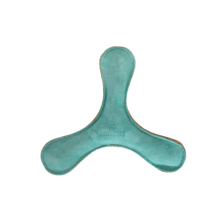 Hundleksak Boomerang