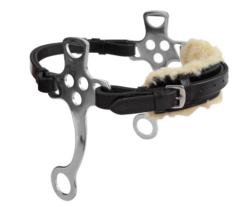 Blenheim Hackamore