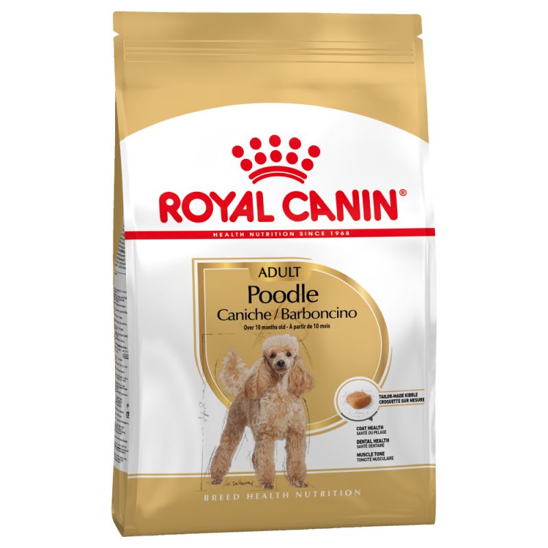 royal canine pudel