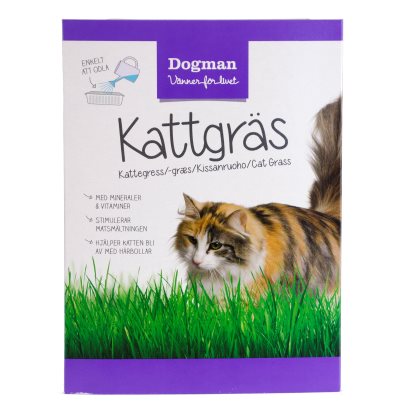 Kattgräs 100g