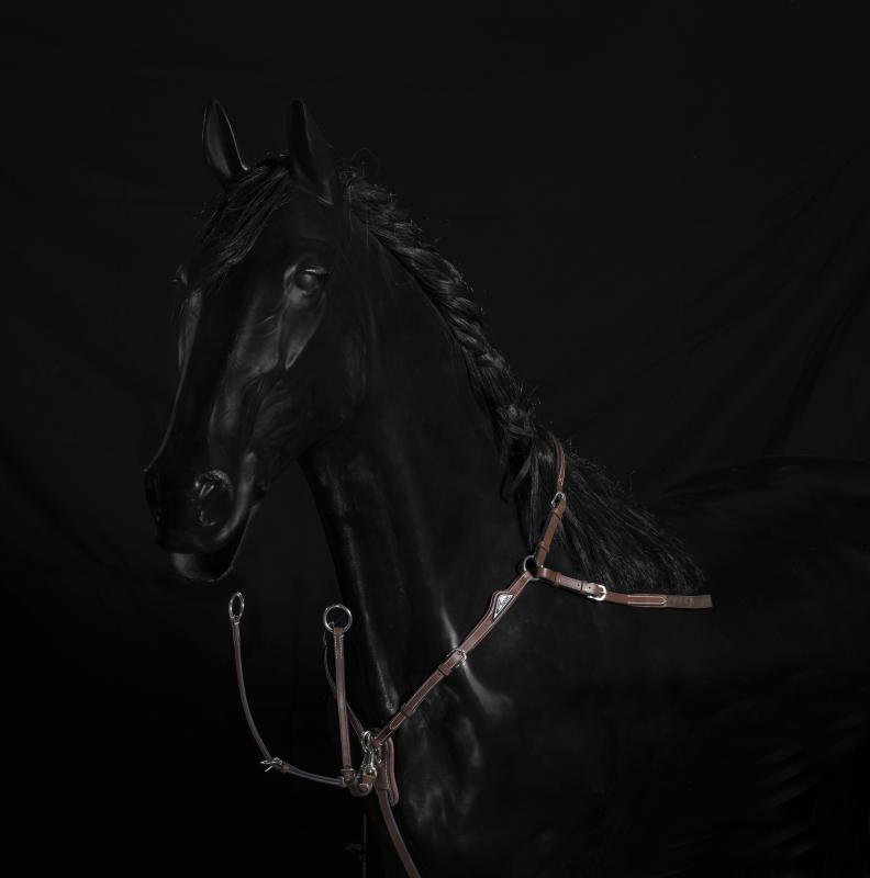 Brun förbygel från equiline