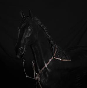 Brun förbygel från equiline