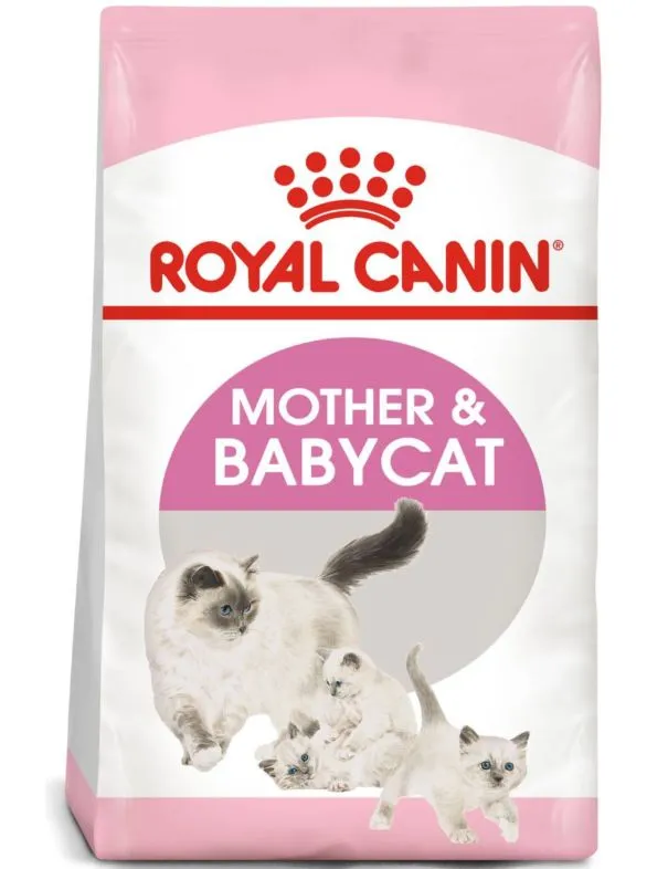 royal canin mamma kattunge mat