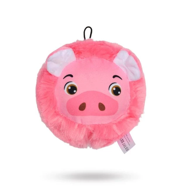 Companion Piggy