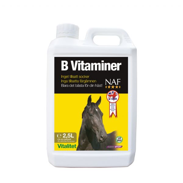 b-vitamin häst