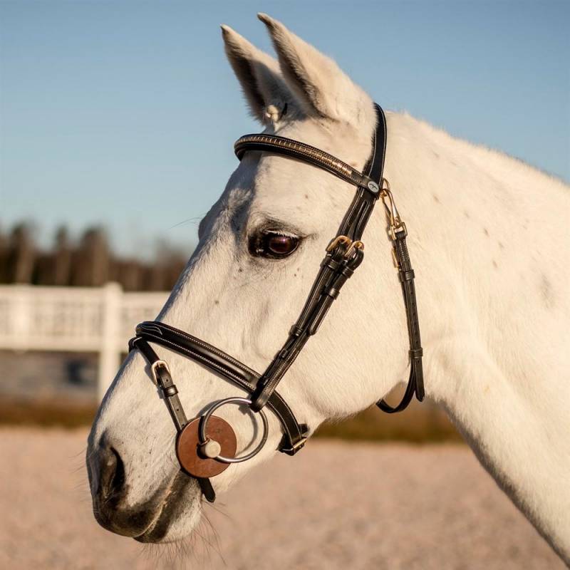 träns  med aachen