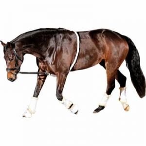 Soft longeringshjälp full