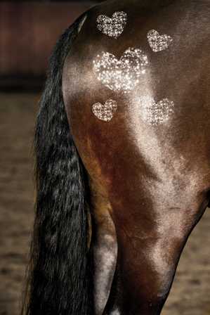 glitterspray till häst