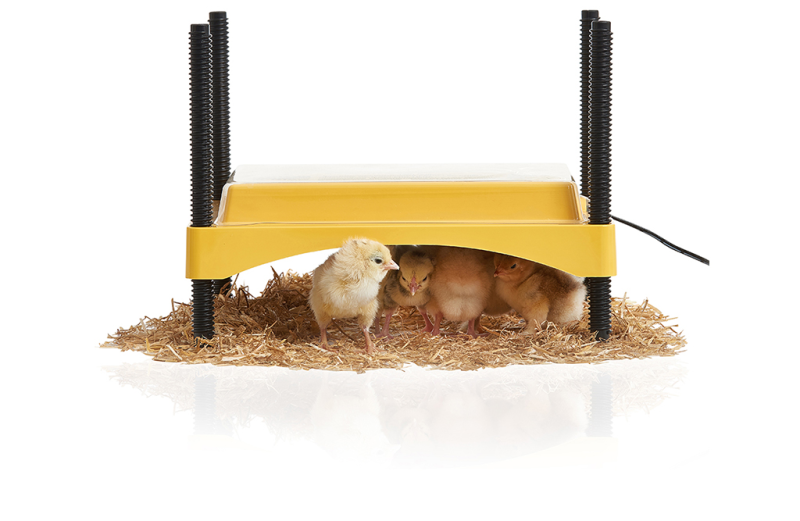 Värmetak EcoGlow Saftey 600