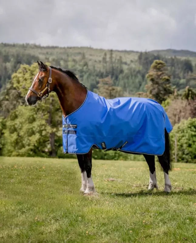 Horseware Amigo Bravo 12 Wug Horseware Amigo Hero 600d Plus Ripstop Turnout Lite 0g | Fig/Navy HW Druck | 5'6-7'0 Amigo Horseware