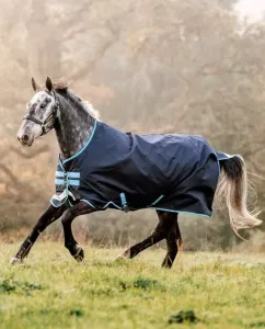 amigo bravo 12 horseware