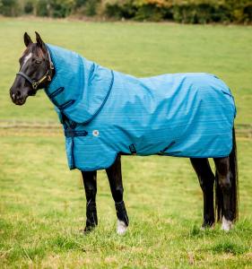 Amigo 900D Revive Plus Turnout 50g