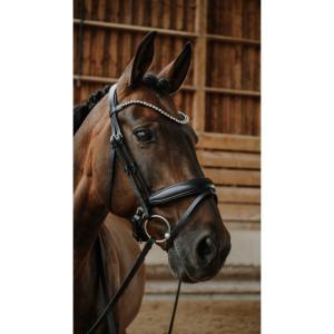 Träns Diams Full Svart