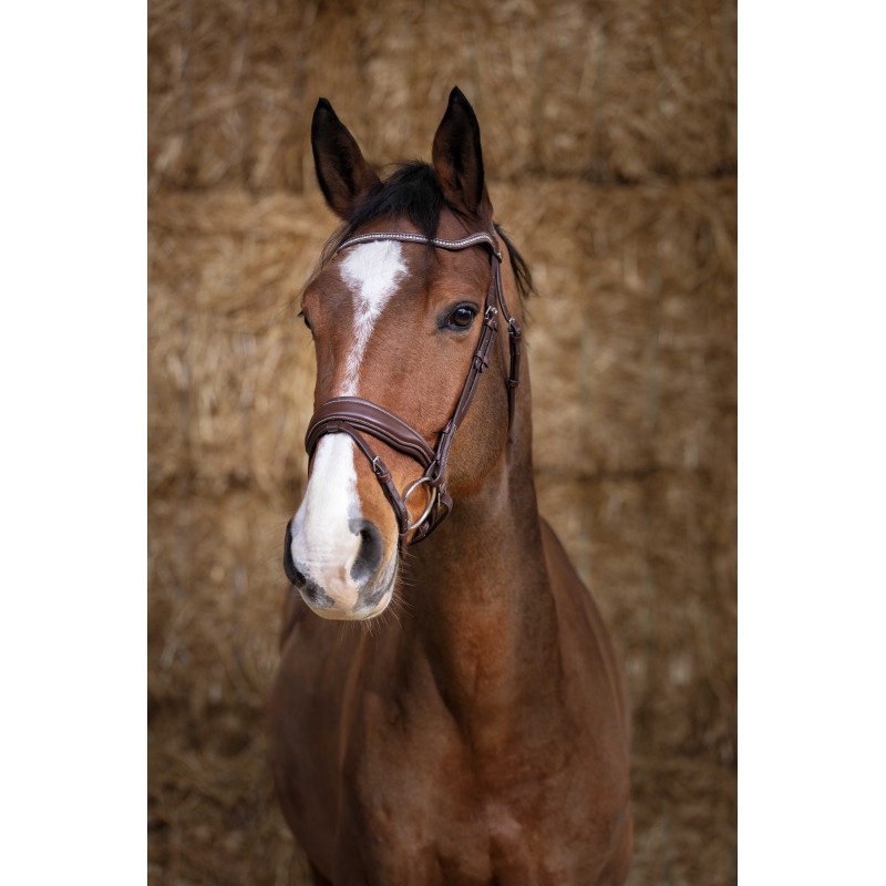 Norton Pro Träns Miss