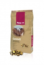 pavo cerevit