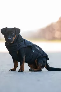 CATAGO FIR-Tech puffer hundtäcke Svart stl 40