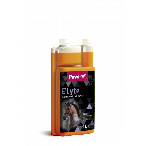 Elyte Liquid 1liter