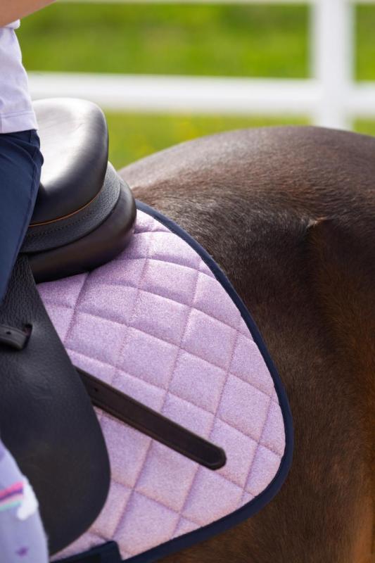 HG Dressyrschabrak Glitter Pink Mist Full