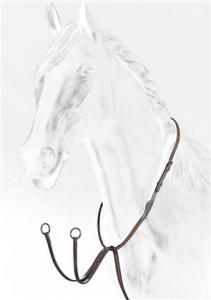 equiline martingal