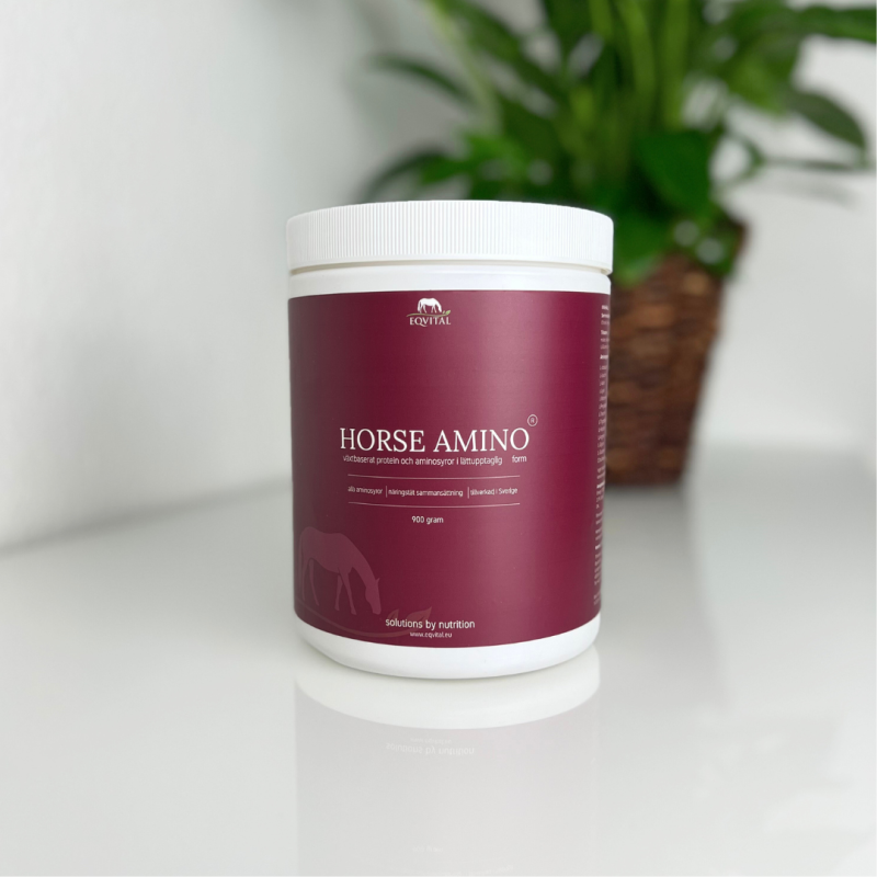 eqvital horse amino