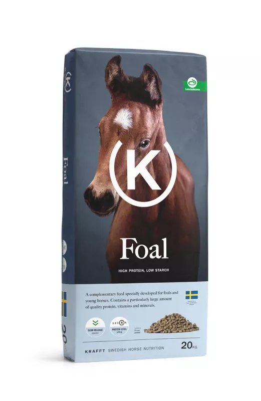 Krafft Foal