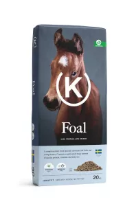 Krafft Foal 