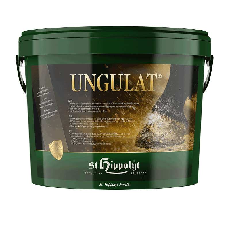 hippolyt ungulat