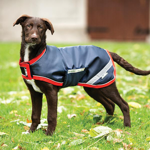 Rambo Waterproof Dog Rug 100g