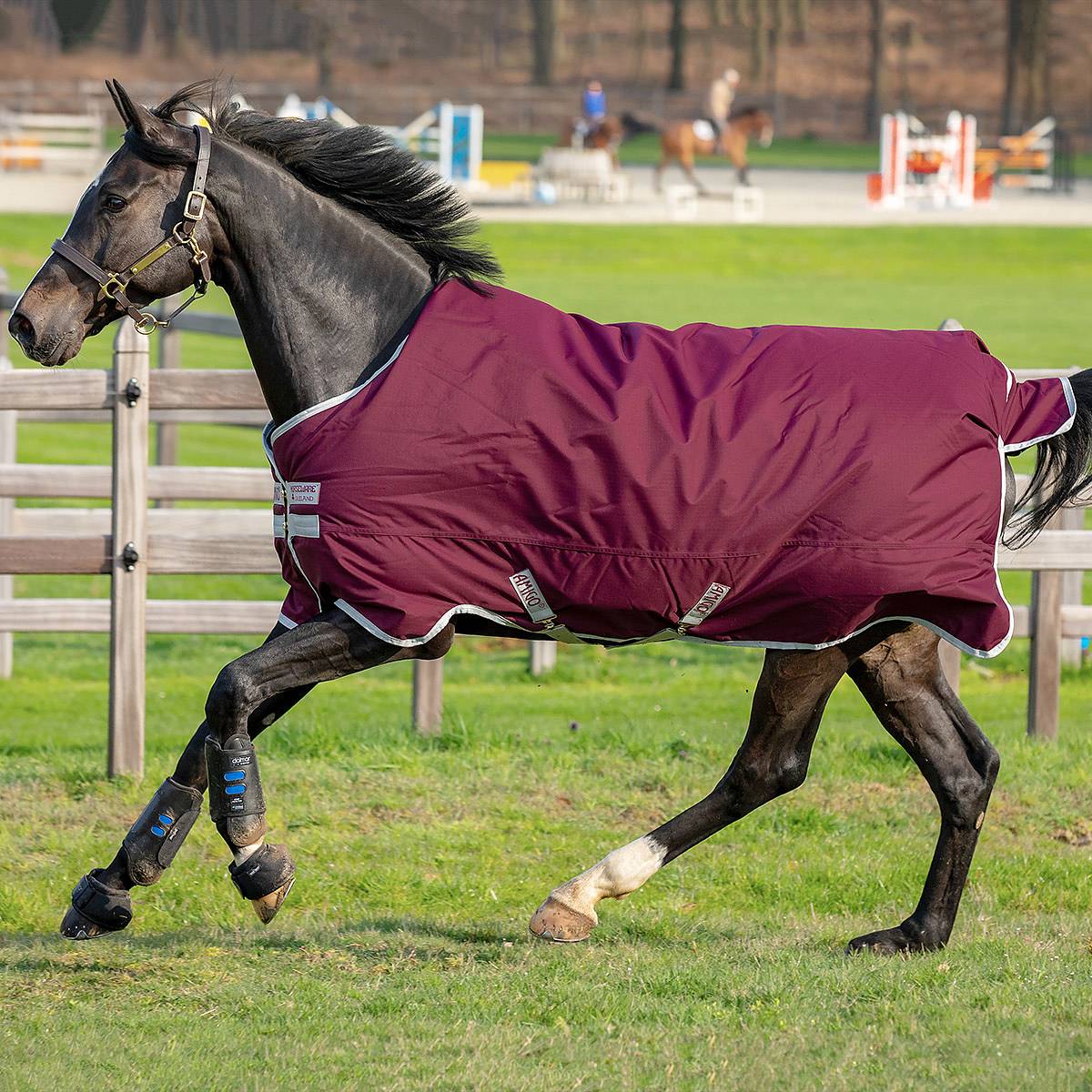 Couverture Légère Pour Cheval Amigo Ripstop 900D Lite Aiguillage - 0g, Horseware | Neuf Sous Emballage