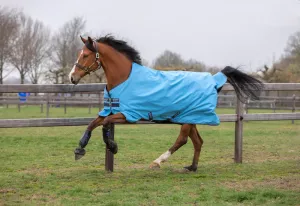 amigo hero 900 ljusblått hästtäcke