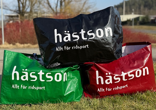 Höpåse Hästson