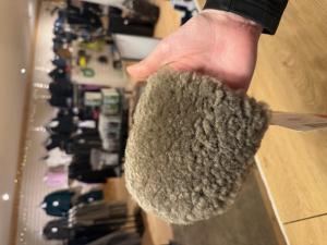 Liten Putsvante i Fårskinn